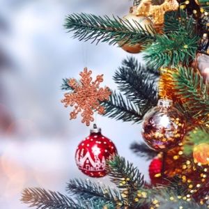 Meet your Posher, Lexi